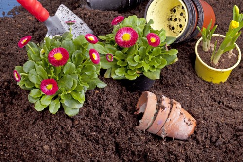 Gardening terms and conditions introduction for a UK service page