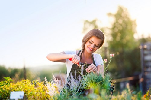 Gardening services in Arnos Grove for a neat residential garden
