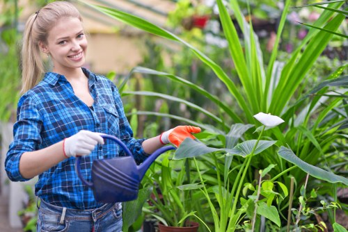 Seasonal lawn maintenance in an Arnos Grove property