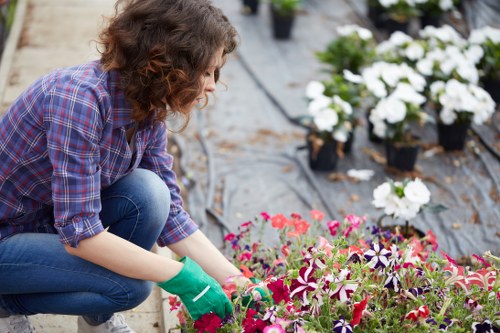 Seasonal garden care and planting in an Arnos Grove outdoor space