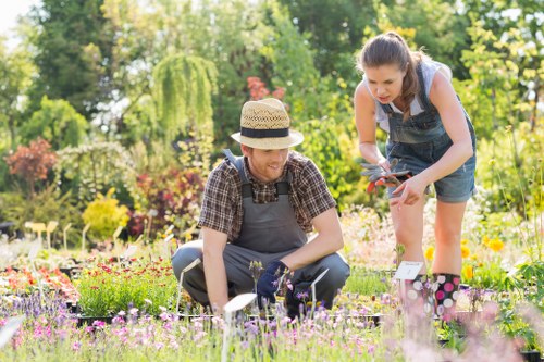 Gardeners in Arnos Grove introducing professional outdoor care