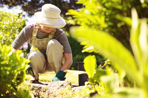 Stump grinding and tree removal service in Arnos Grove