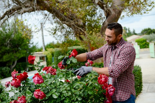 Professional gardening service following a health and safety policy