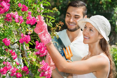 Local gardeners in Arnos Grove focusing on balanced plant and lawn care