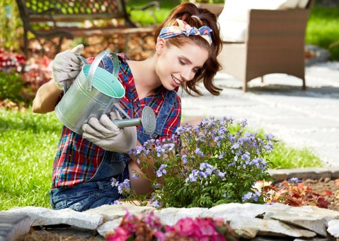 Professional grass cutting service in Arnos Grove