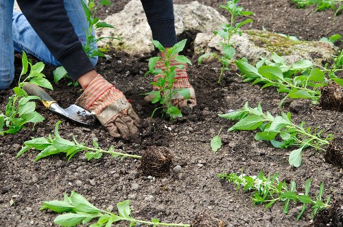 Booking and payment terms for professional gardening services