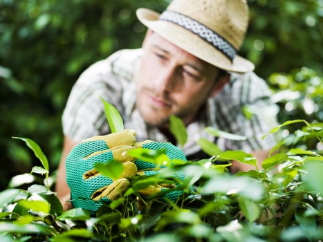 Recycling and sustainability practices supporting Arnos Grove gardens