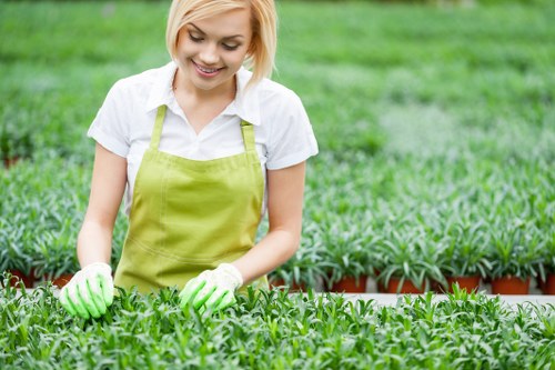 Free quote process for a local garden maintenance visit in Arnos Grove