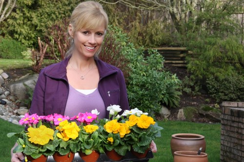Professional garden maintenance in Arnos Grove improving lawns, shrubs, and pathways