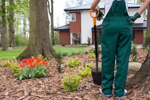 Local gardener carrying out lawn and hedge maintenance in Arnos Grove