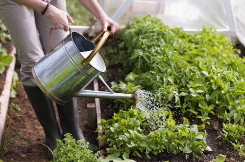 Gardener trimming hedges and caring for plants during garden maintenance in Arnos Grove
