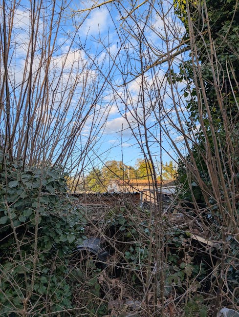 A garden scene viewed through dense, leafless branches and tangled vines, with a clear blue sky and scattered white clouds in the background. The lower part of the image shows a mix of overgrown green