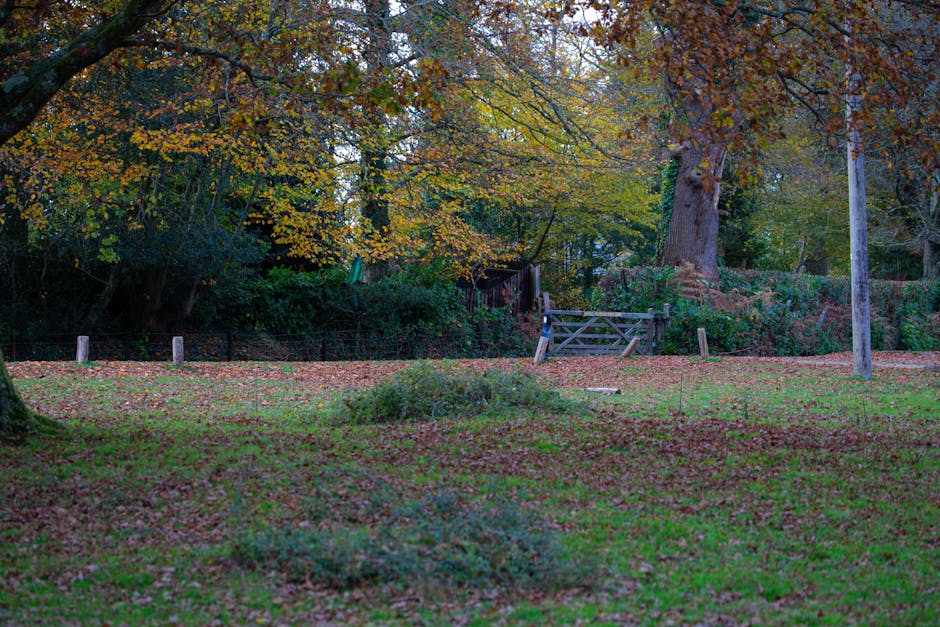 A garden scene viewed through dense, leafless branches and tangled vines, with a clear blue sky and scattered white clouds in the background. The lower part of the image shows a mix of overgrown green